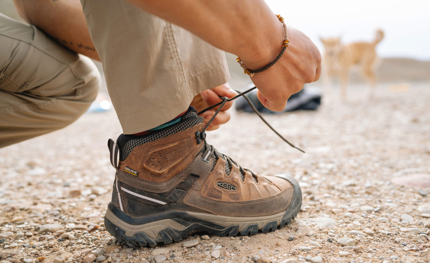 Keen Near Me | Men's Targhee III Waterproof Mid Bungee Cord/Black