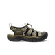 Etudes Olive