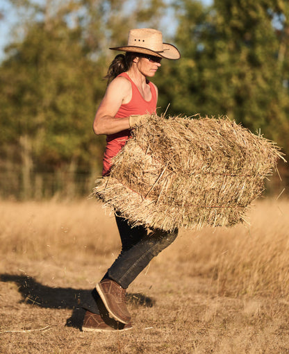Keen | Women's San Jose 6" Boot (Aluminum Toe) Gingerbread/Gum