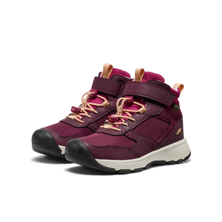 Keen Near Me | Little Kids' Skua Waterproof Boot Fig/Peach Fuzz